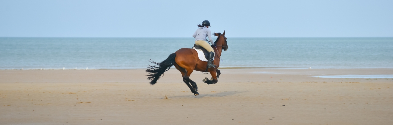 Person riding a horse on the beach